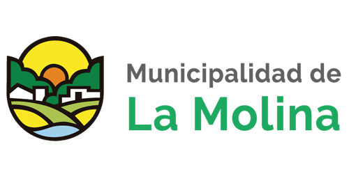  Municipalidad De la Molina 